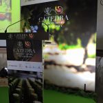Presentación de la Cátedra de Enoturismo Casa Cesilia UMH
