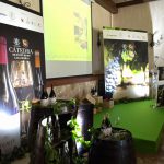 Presentación de la Cátedra de Enoturismo Casa Cesilia UMH