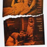 Película recomendada por Casa Cesilia