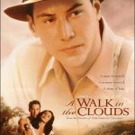 Película recomendada por Casa Cesilia