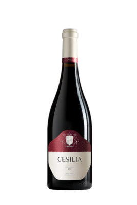 El maridaje perfecto entre gastronomía y vinos en Casa Sicilia