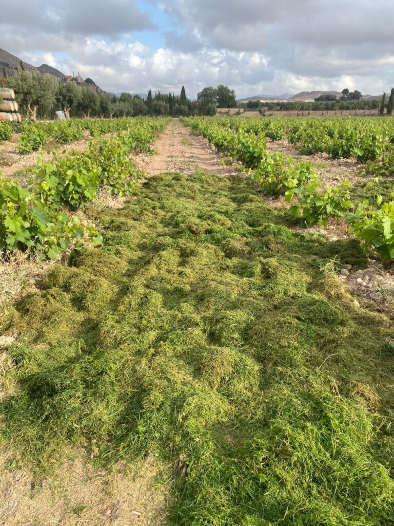 El "Mulching" llega a Casa Sicilia