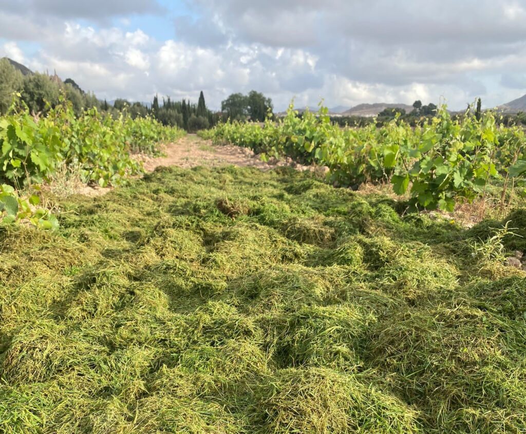 El "Mulching" llega a Casa Sicilia