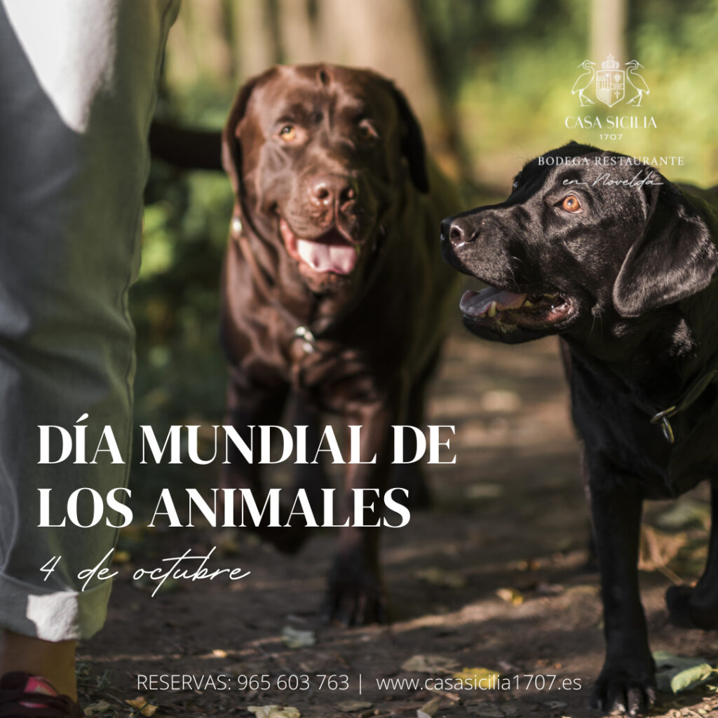 Celebra el Día Mundial de los animales en Casa Sicilia 1707