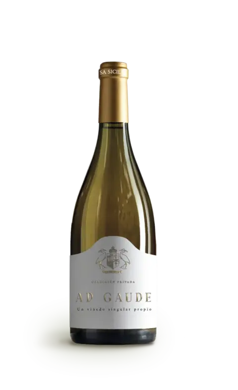 Ad Gaude Blanco 2024