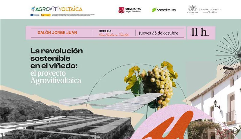 Ilustración del proyecto Agrovitivoltaica de Casa Sicilia: placas solares sobre el viñedo